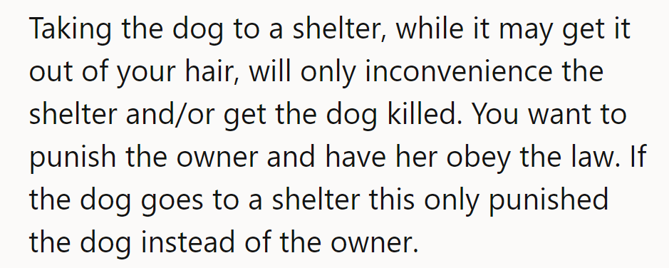 Taking the dog to a shelter could punish the pup; consider a less drastic approach.