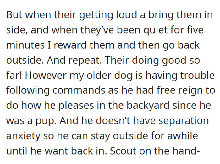 OP has been trying to train them. If they are making a lot of noise when they’re outside, they are brought inside, and when they get quiet for five minutes, they receive a treat and get to go back out.