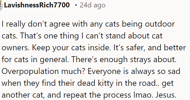 Cats should be kept indoors for their safety and to prevent overpopulation.