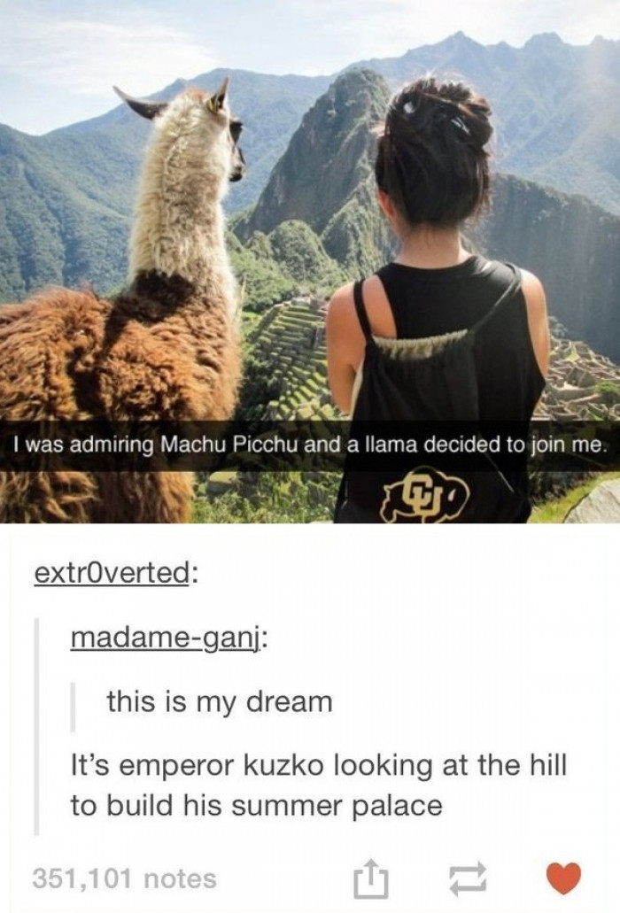 13. If you come across a lever, don't pull on it