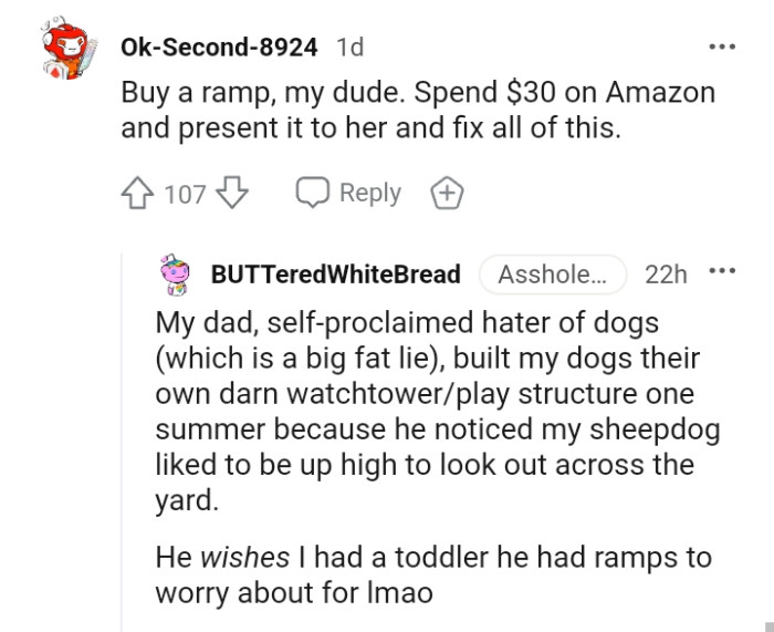 This Redditor is suggesting that the OP buy a proper ramp
