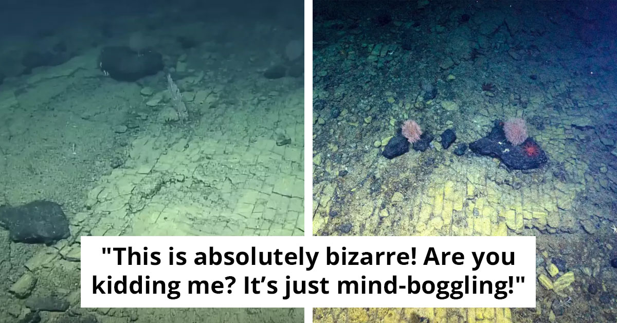 Unusual 'Yellow Brick Road' Found At Bottom Of Pacific Ocean