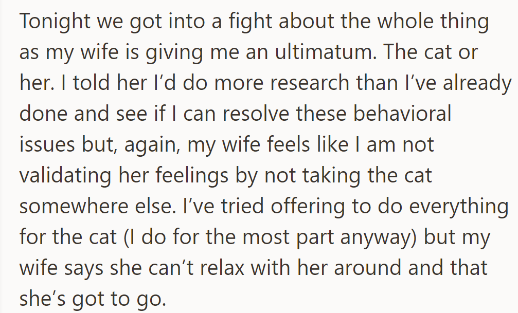 Tonight, they fought over an ultimatum: the cat or her. He’ll research solutions, but she feels unvalidated.