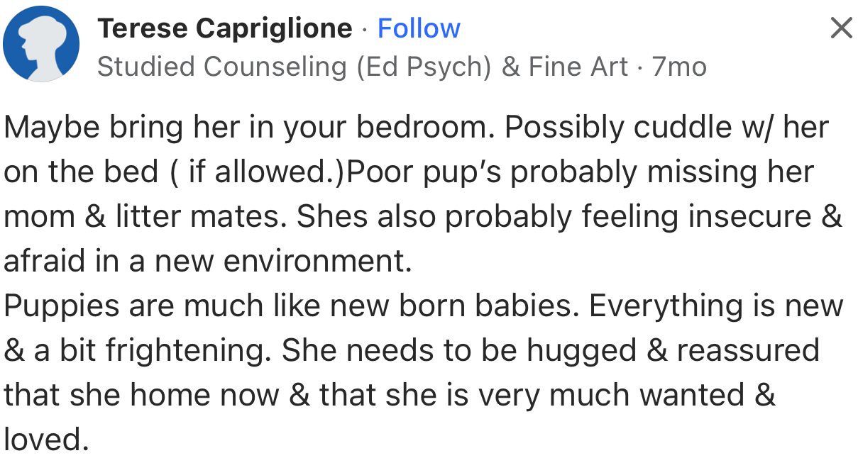 The poor pup could just be missing its dog family that it was taken away from