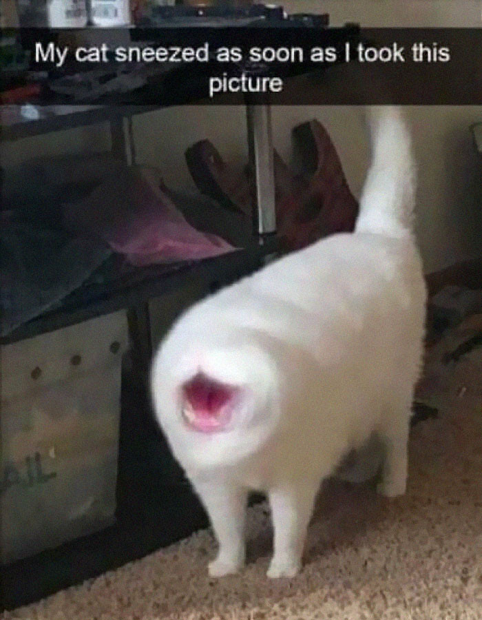 2. Where Are Its Eyes?