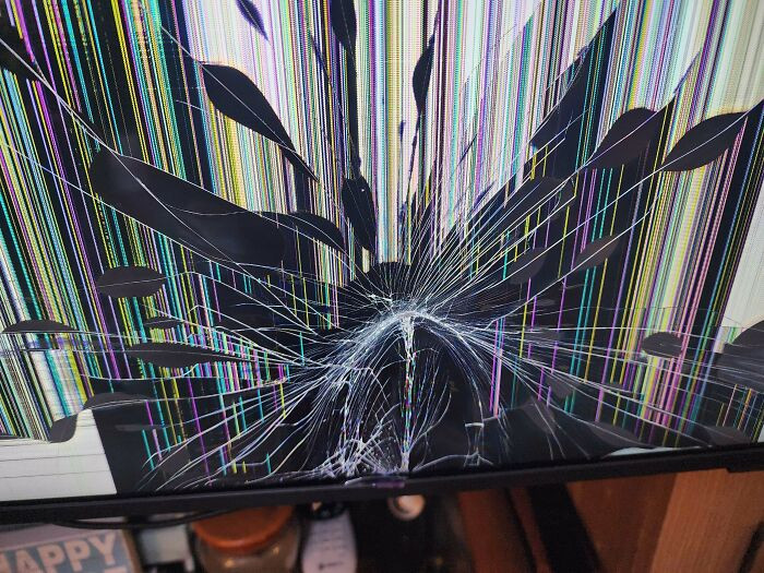 "Could A 2-Year-Old Do This Damage?"