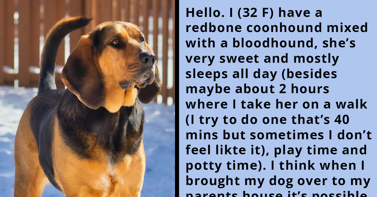 Redditor Asks If They Are Wrong For Keeping Their Dog Out Even Though Their Nephew Is Scared Of It