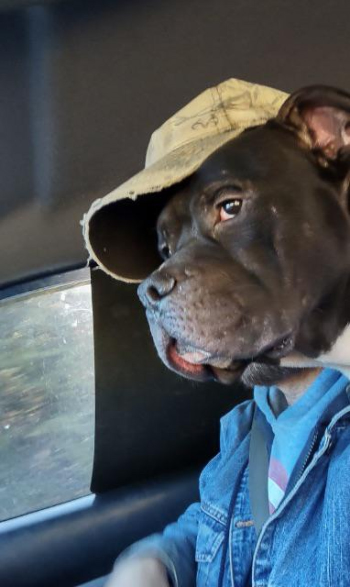 48. Just my dad and his dog.