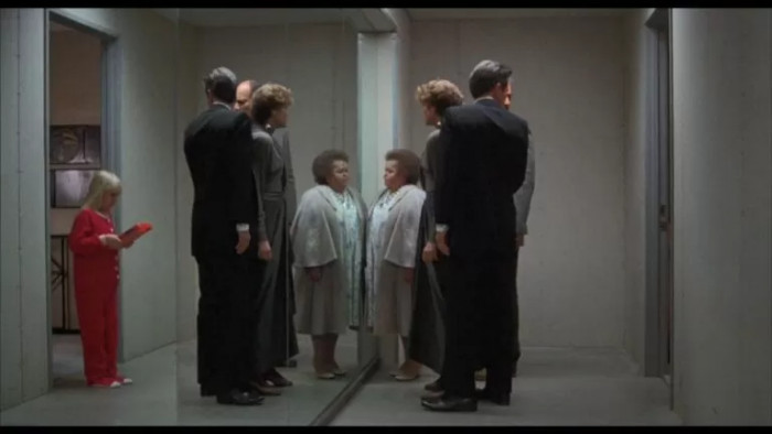 25. Floor-to-Ceiling Mirrors