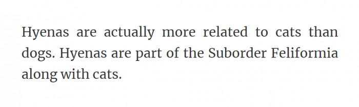 47. Hyenas: