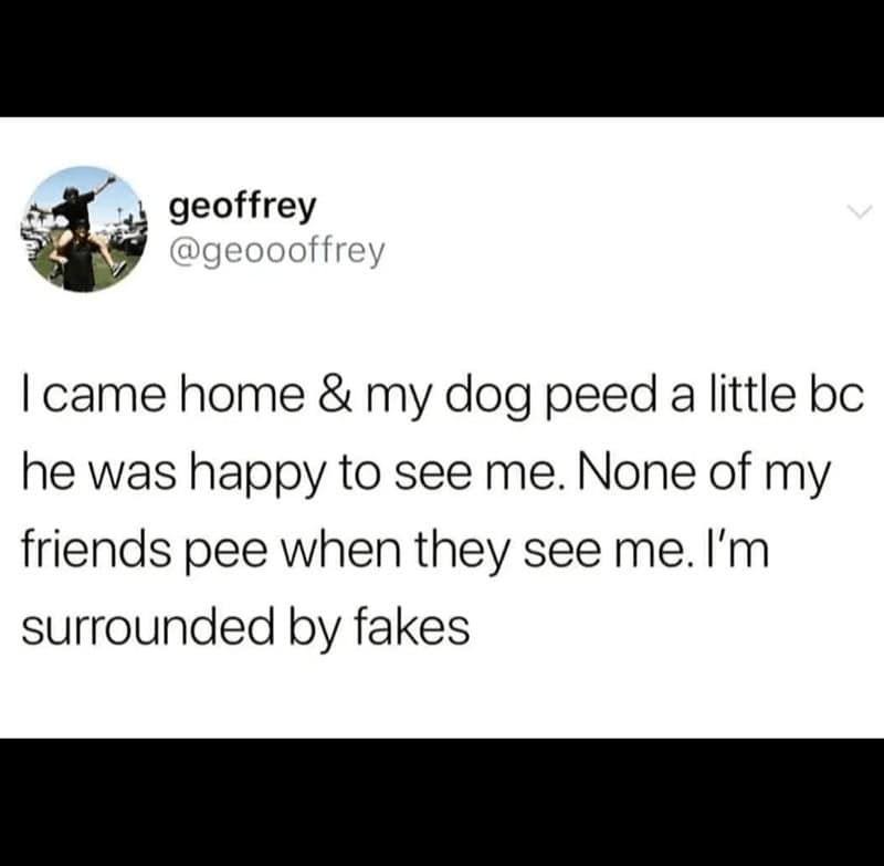 12. If your friends don’t pee when they see you, are they really even friends?