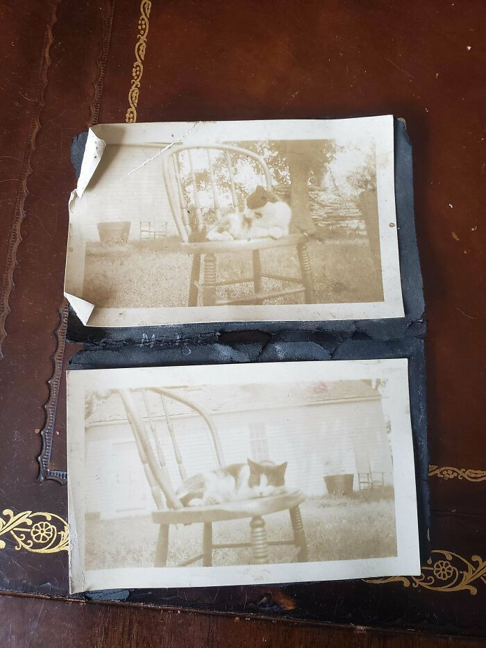 "Found In The Garage Of An Abandoned Farmhouse"