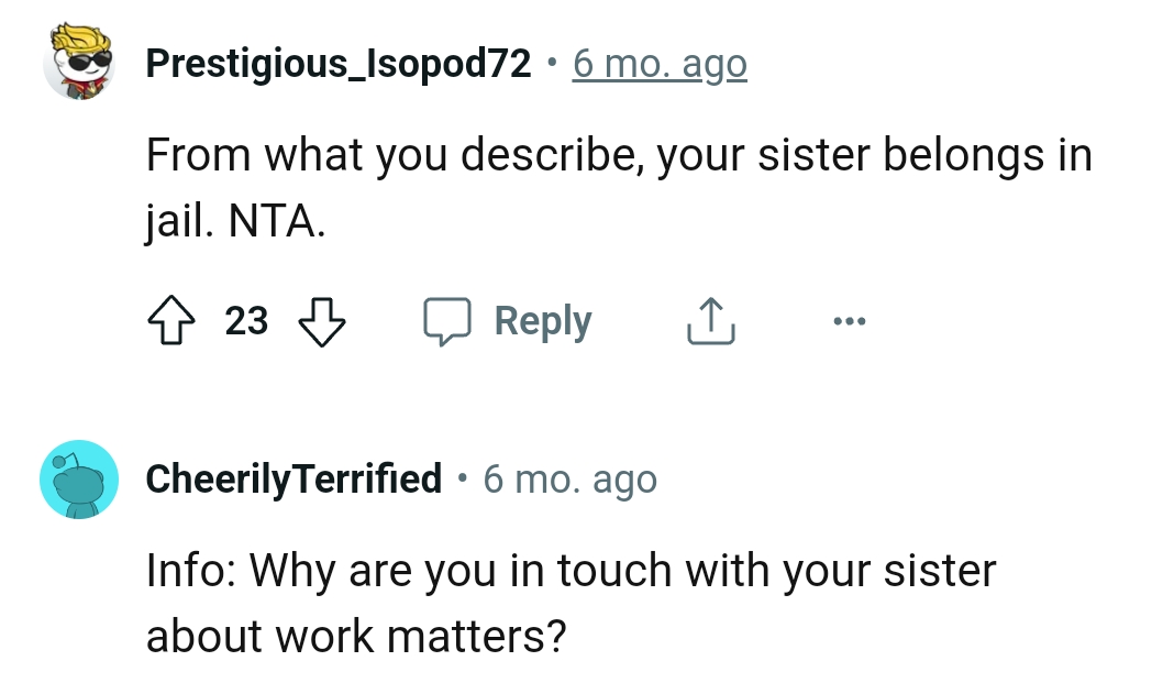 This Redditor is of the opinion that OP's sister belongs in jail