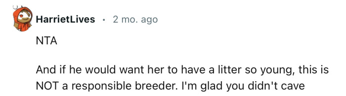 Having a Litter at Such a Young Age Is Not Ideal for the Dog