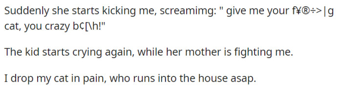 Amid the confrontation, the lady resorted to violence and harsh words, causing the cat to escape into the house.