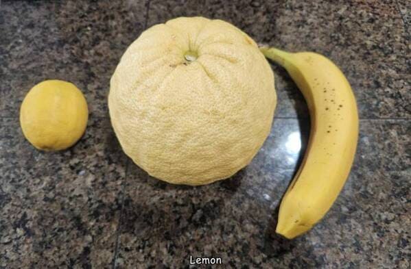 Giant lemon.