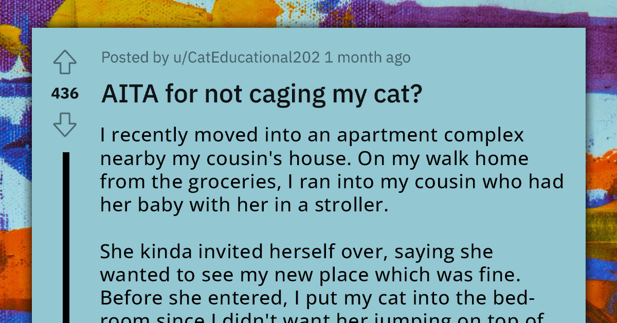 OP Refuses Cousin's Demands For Their Cat To Be Caged—Asks If They Are An A-Hole For Doing So
