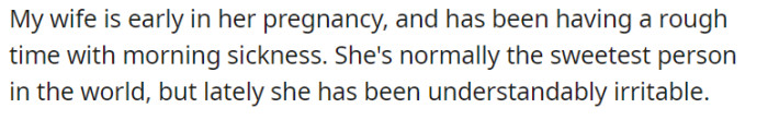 In the early stages of her pregnancy, his wife has been struggling with morning sickness, causing her to feel irritable, which is quite understandable given the circumstances. Despite her usual sweet nature, these temporary challenges have been taking a toll on her.