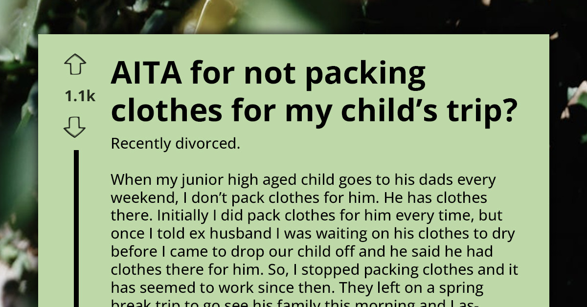 Redditors React As Divorced Woman Shares How Co-Parenting Expectations Clashed