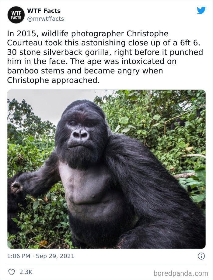 30. All for the love of photography