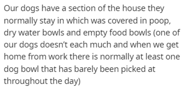 The dogs' part of the house was covered in poop, and their bowls were empty and dry