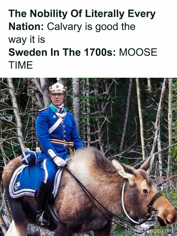 6. Forget horses, nothing says intimidation like a soldier on a moose