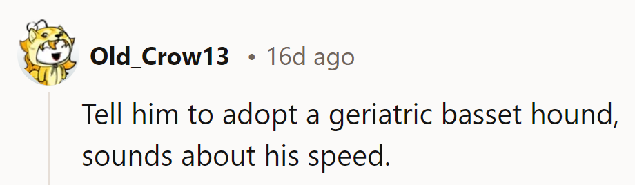 Suggested remedy: A geriatric Basset Hound, matching his speed and spirit perfectly.