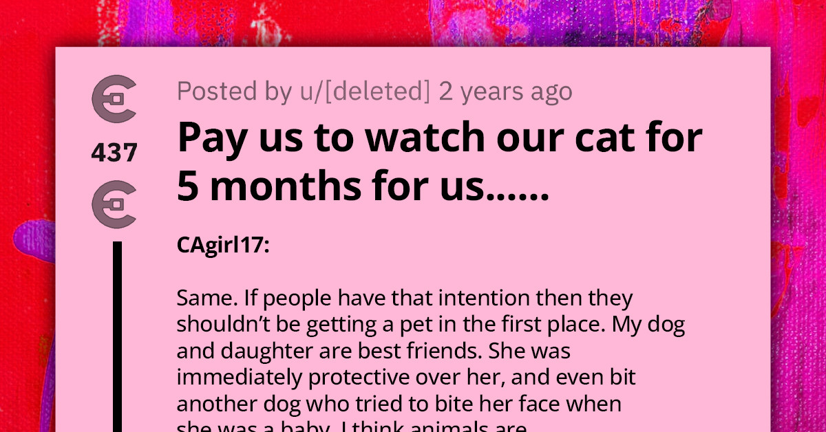 Choosing Beggar Seeks Cat-Sitter That Would Pay Them To Watch Their Pet For 5 Months
