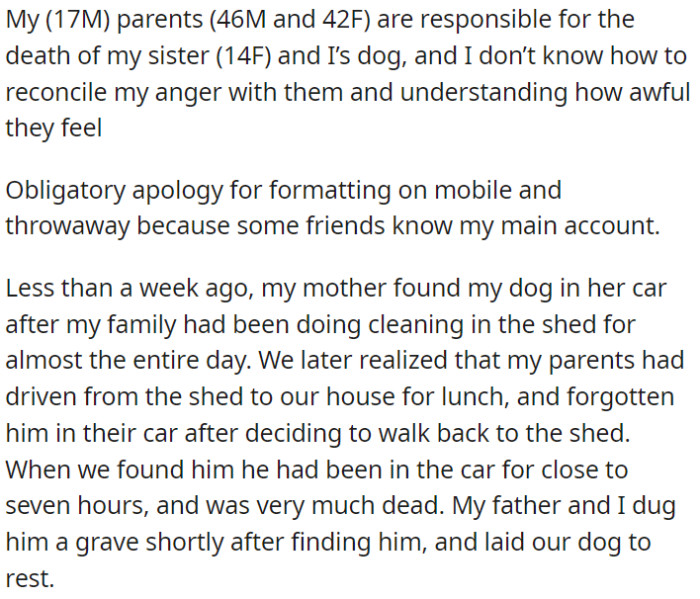 OP Holds His Parents Responsible for the Passing of His Pet Dog.
