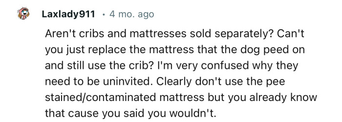 “Can't you just replace the mattress that the dog peed on and still use the crib?“