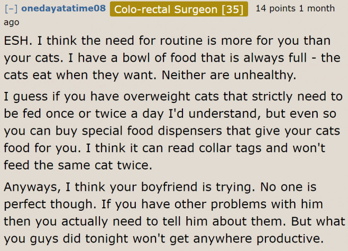 Most people agree that the OP and her boyfriend were at fault.