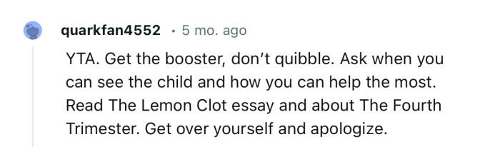 “YTA. Get the booster; don’t quibble. Ask when you can see the child and how you can help the most.”