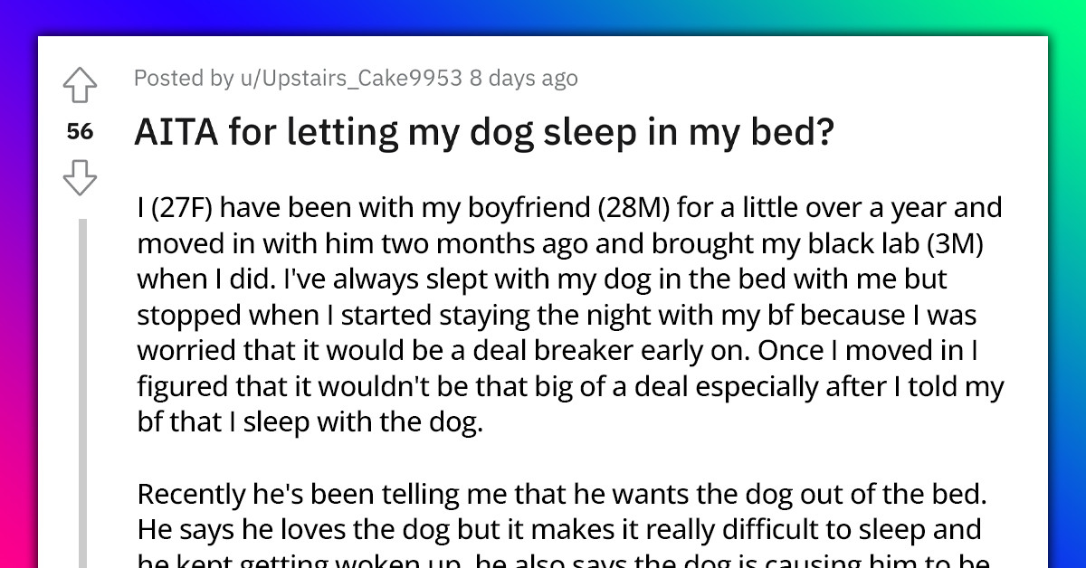 Woman Is Regarded As The A**hole For Letting Her Dog Sleep In Bed Instead Of Her Boyfriend