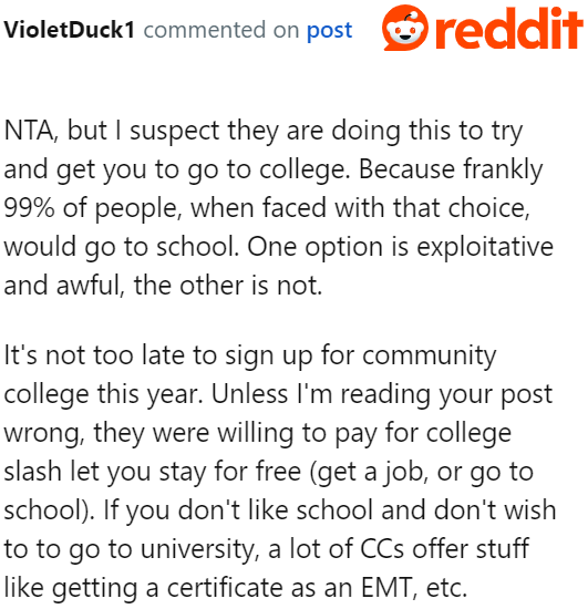 A Redditor feels that all the criticisms are meant to push the OP into studying at a university.