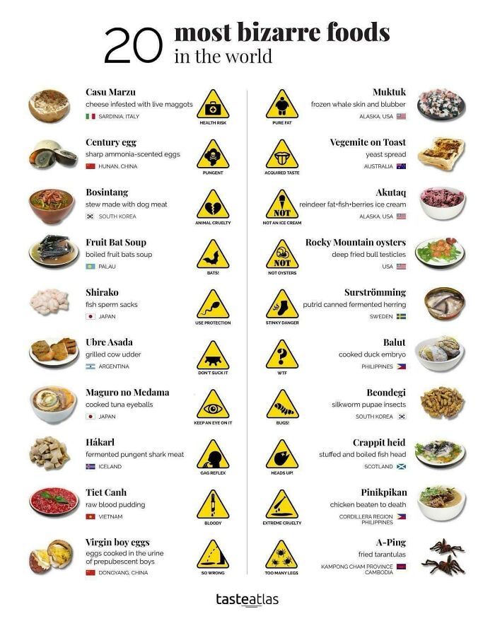 8. A Cool Guide To Bizarre Foods