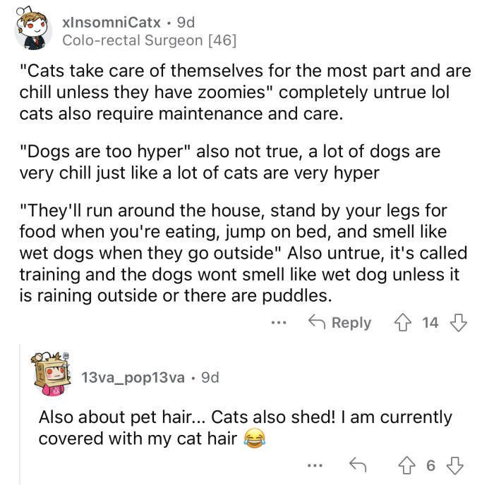 It depends on the pet's personality.