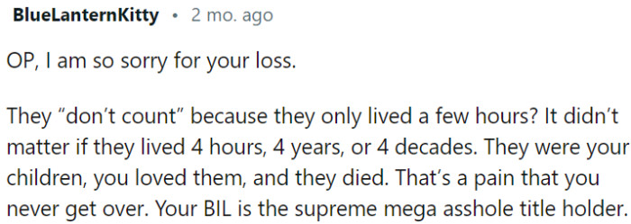 The behavior of OP's brother-in-law is incredibly hurtful and shows a lack of empathy and understanding.