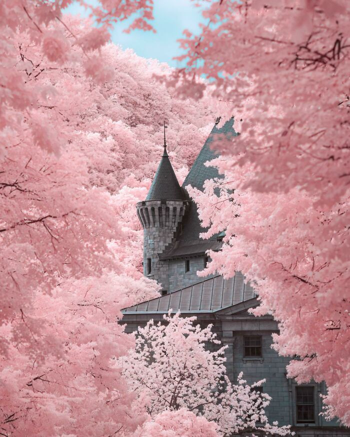 38. ITAP Of McGill University In Infrared