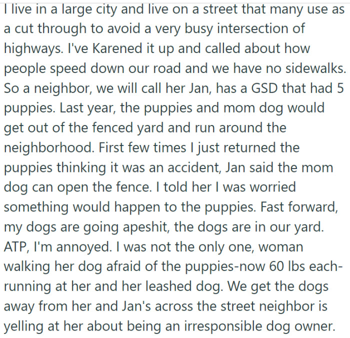 OP's neighbor, Jan, failed to secure her dogs—a German Shepherd and its five puppies—which frequently escaped and roamed their busy city street.
