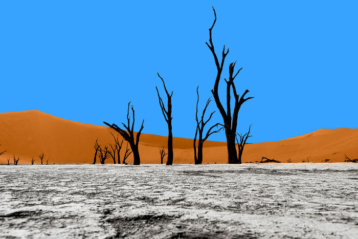 "When Nature Decides To Paint. Deadvlei, Namibia"