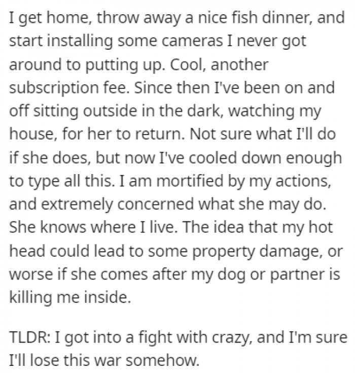 OP Installed Cameras Around Their House Since They Realized That the Lady Might Come Back for Revenge