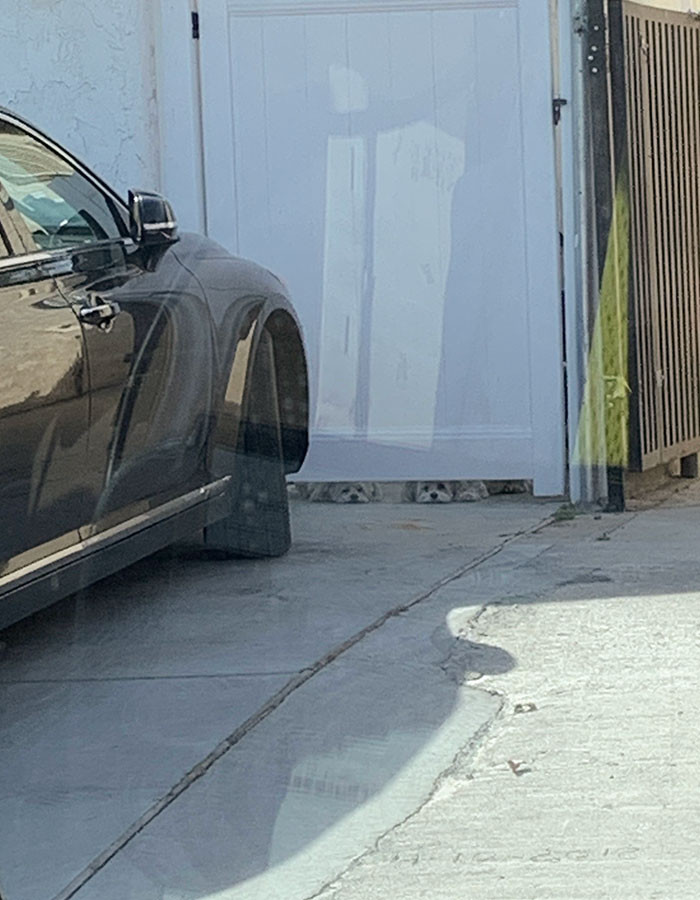 40. Look at all those cuties underneath