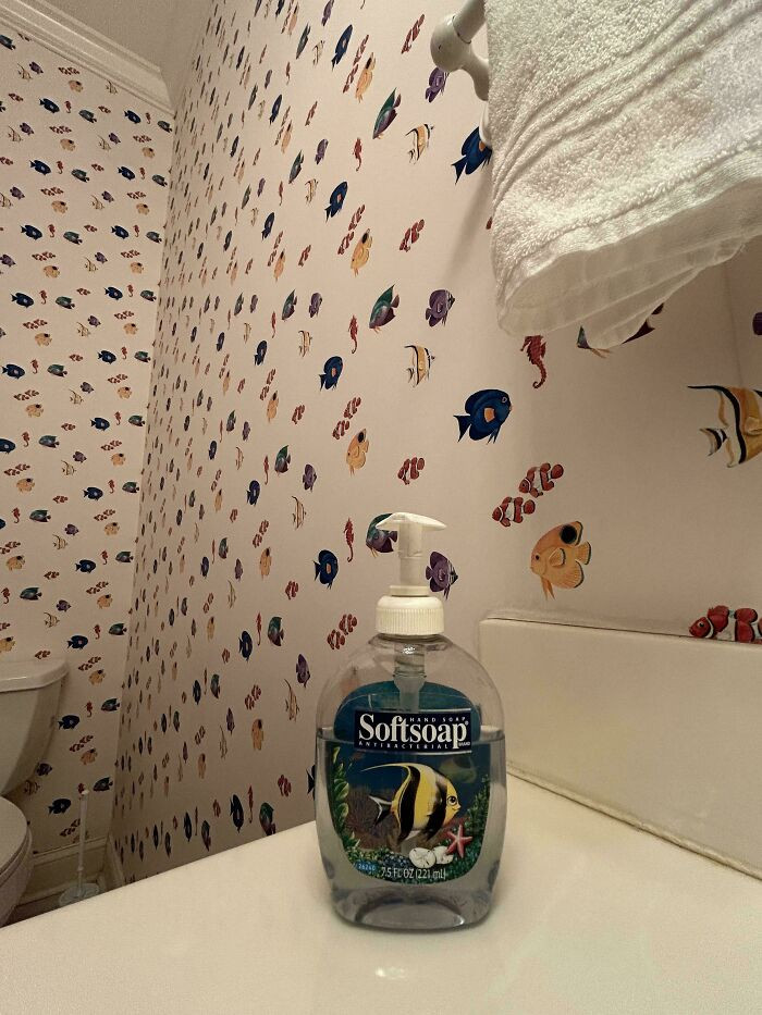 "My Septuagenarian Mom Still Has Her '97 Softsoap Container To Match Her '97 Fish Bathroom"
