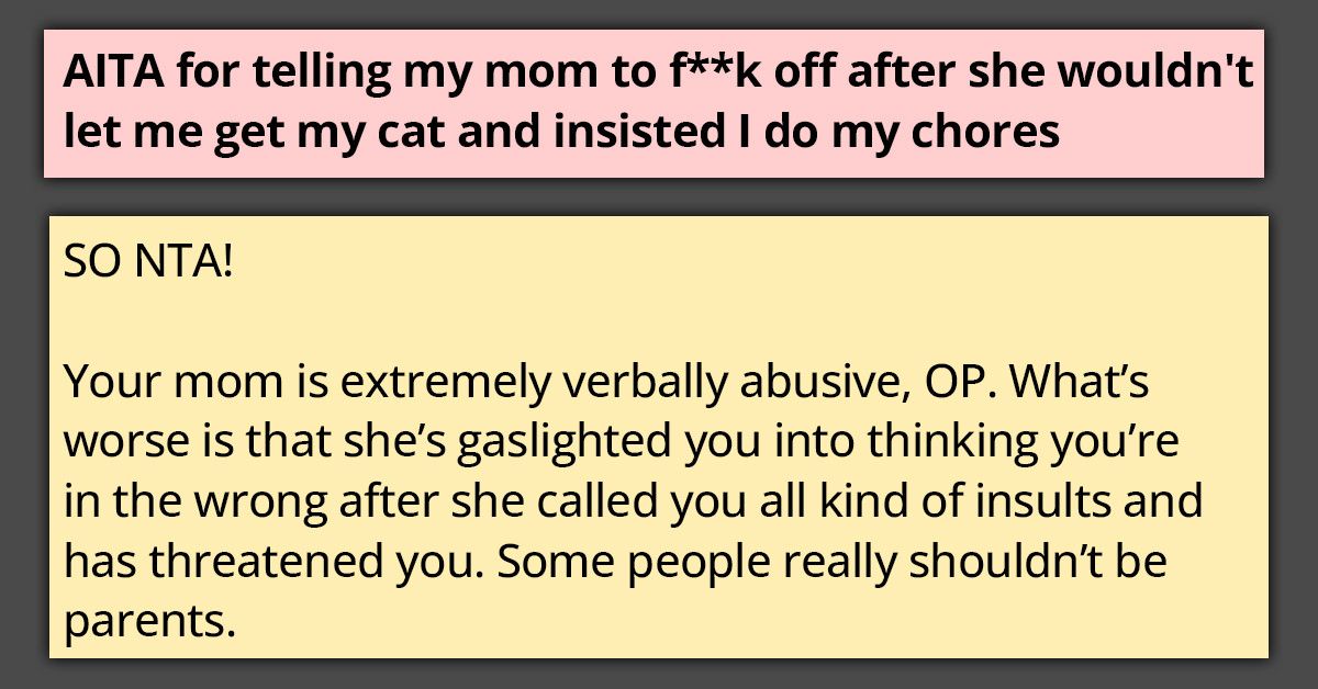 Teenager Walks Out of His Home to Find His Cat After His Mom Orders Him to Do the Chores in a Condescending Manner