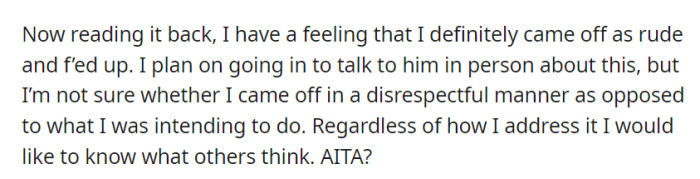 Upon reflection, OP is unsure if they unintentionally appeared rude in their message and plans to discuss it in person with their boss, seeking external opinions on the matter.