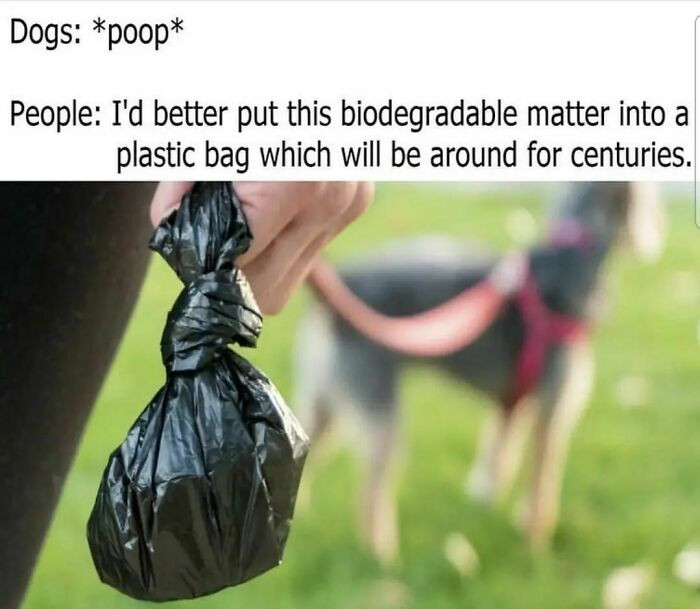 28. Around for centuries