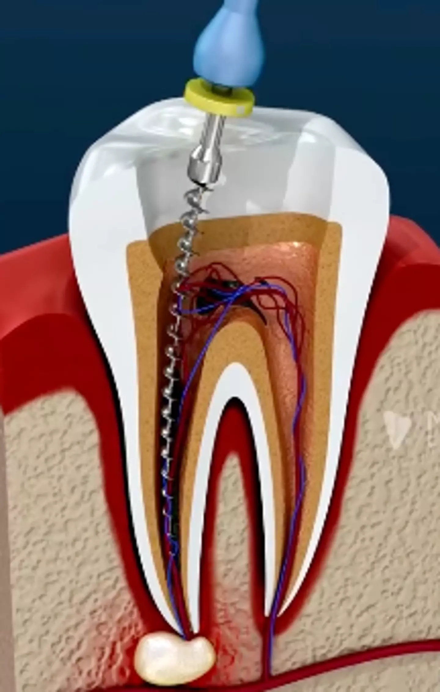 Viewers React: “I Felt the Pain Just Watching!”