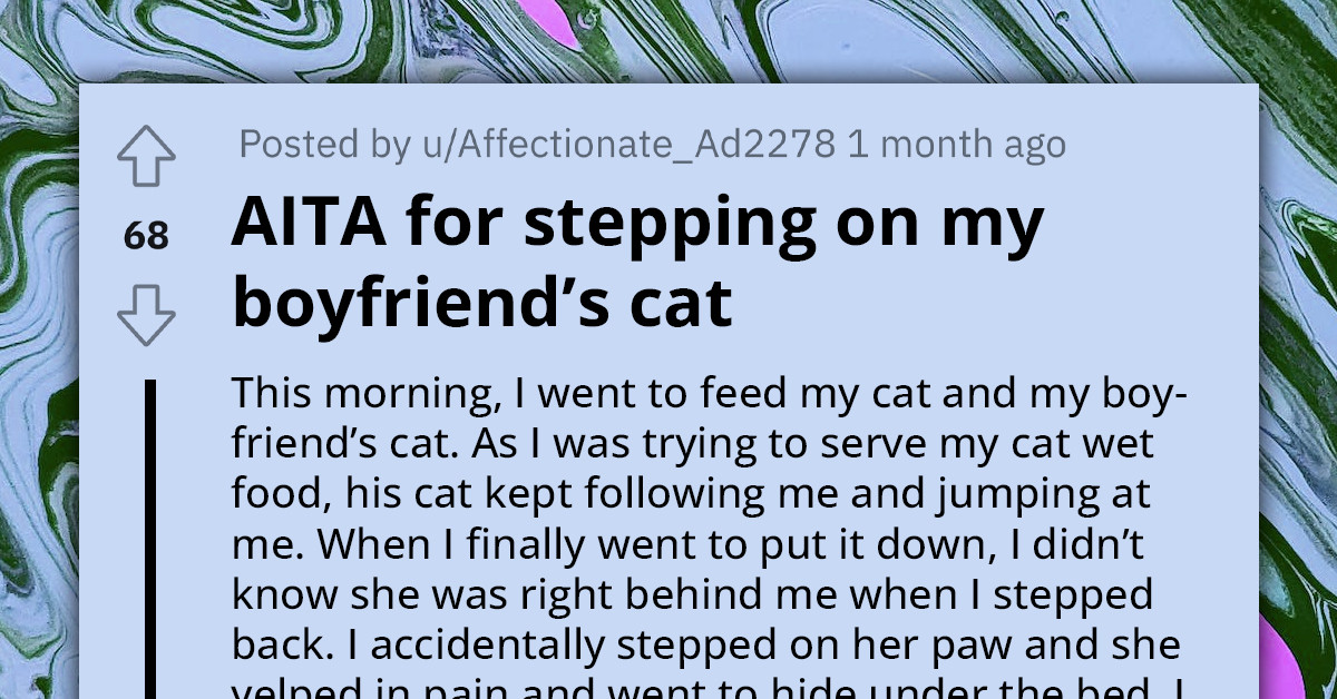 OP Gets Called Out By Boyfriend For Always "Abusing" His Cat After She Stepped On It By Accident
