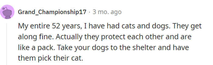 It seems this one has unlocked the secret to creating a four-legged pack of superheroes, where the power of friendship triumphs over any territorial disputes or feathered complications.