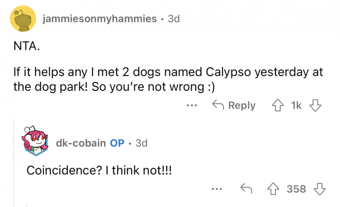 It was a sign that OP needed to convince her sister.